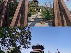 -杭州半山国家森林公园