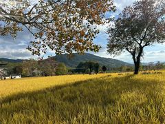 -塔川景区