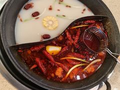 双拼鸳鸯锅-朱光玉火锅馆(龙阳广场店)