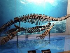-自贡恐龙博物馆
