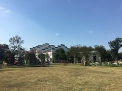-鹅湖玫瑰文化园