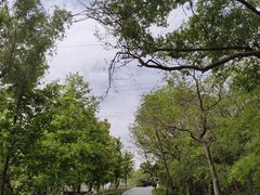 -佛手湖郊野公园