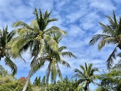 -三亚南山文化旅游区