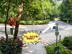 -火炉山森林公园