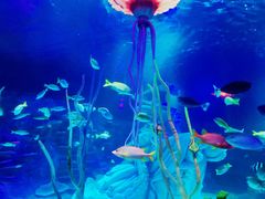 -沈阳海洋探索中心