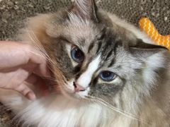 -白兔子密室(长寿路店)