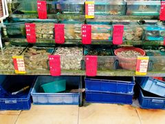 -鑫鸿达·海鲜闽菜热炒小馆(中山路店)