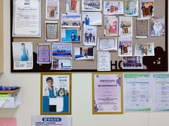 -美联众合动物医院·24h京西诊疗中心