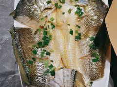 -1937青岛老味道·海肠捞饭·青岛菜(大鲍岛栈桥店)