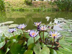 -人民公园(罗湖区)