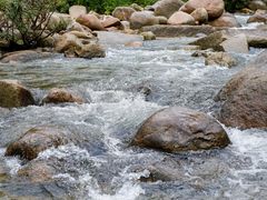 -海南热带雨林国家公园吊罗山景区