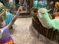 -宝燕乐园(闵行旗舰店)