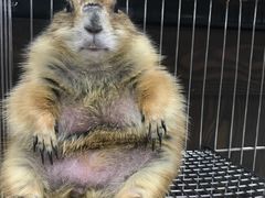 -乐宠宠物店(世纪金源店)