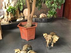 -扬州狮子楼·非遗淮扬菜(总店)