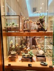 -金展珠宝广场