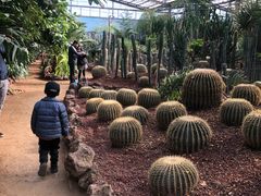 -呀路古热带植物园