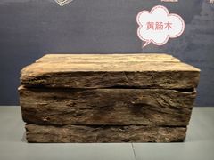 -北京大葆台遗址博物馆
