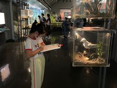 -中国湿地博物馆