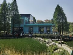 -铁山坪森林公园