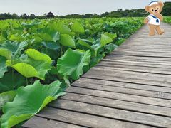 -梁鸿国家湿地公园