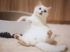 -BINGO COFFEE宾果彩咖(大东方店)