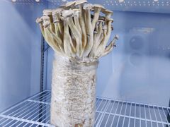 -天毓山庄·餐厅