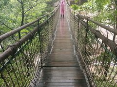 -洛阳白云山景区