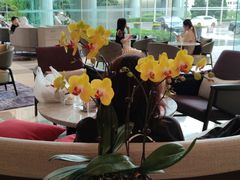 -茶源Fountain Lounge大堂吧·北京东方君悦大酒店
