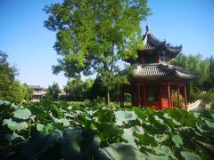 -莲池书院博物馆