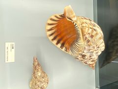 -天津古林古海岸遗迹博物馆