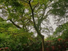 -岳麓山风景名胜区