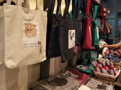 -猫咪博物馆(顶澳仔猫街店)