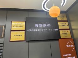 点击看大图 -藤野造型