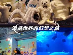 -太平洋海底世界