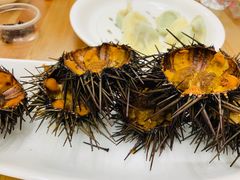 -海胆小馆(东北水饺·春柳店)