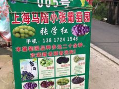 -马陆小张葡萄园农家乐