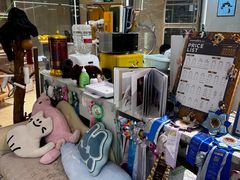 -momokira米努特·德文卷毛猫·棉花面纱犬