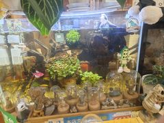 -Rabbit Cafe私房西餐甜点咖啡(栖霞路店)