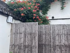 -青果巷历史文化街区