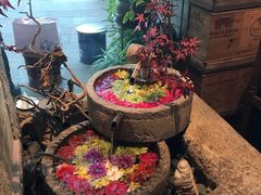 -中8楼风尚云南菜(颐堤港店)
