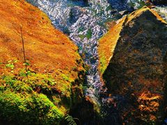 -汤旺河林海奇石景区