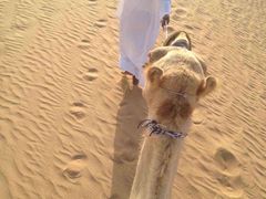 -迪拜沙漠冲沙