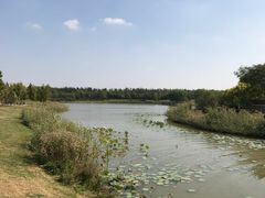 -武清南湖绿博园