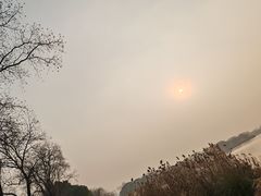 -东湖落雁景区
