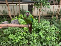 -南宫五洲植物乐园