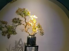 -江南足纪·影院足道·轻奢SPA(笋岗HALO广场店)