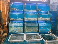 水产区-老东镇啤酒屋海鲜加工·蒸汽海鲜·海鲜烧烤(台东店)