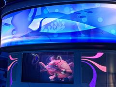 -海底巡游艇:尼莫和好友的海洋世界