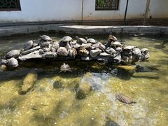 -红螺寺