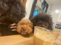 -COFFEE HOLIC(朝外SOHO店)